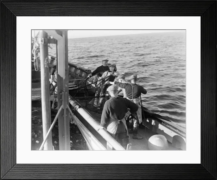 Framed Print : Herring Fishing fleet at Lerwick, Shetland Isles. 1950 024442 / 13 Framed Print : Herring Fishing fleet at Lerwick, Shetland Isles. 1950 024442 / 13
