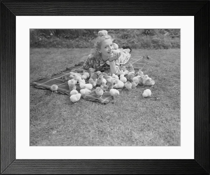 Framed Print : Film Actress Pat Dainton with Easter Chicks. 1950 023473 / 2 Framed Print : Film Actress Pat Dainton with Easter Chicks. 1950 023473 / 2