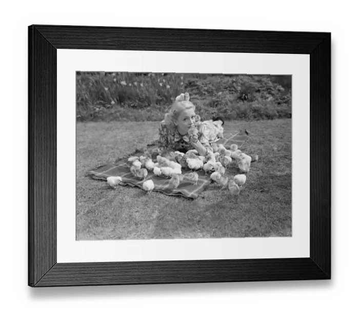 Framed Print : Film Actress Pat Dainton with Easter Chicks 023473 / 1 Framed Print : Film Actress Pat Dainton with Easter Chicks 023473 / 1