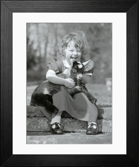 Framed Print : Candida 2 with Skippy the three week old pygmy goat at the kilverstone wildlife park in Framed Print : Candida 2 with Skippy the three week old pygmy goat at the kilverstone wildlife park in