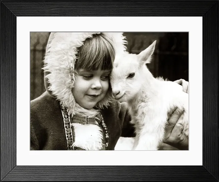 Framed Print : Kid meets kid. Its an instant friendship for four year old Amanda Tennant Framed Print : Kid meets kid. Its an instant friendship for four year old Amanda Tennant