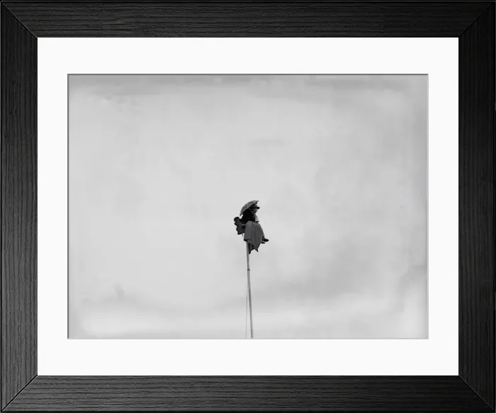 Framed Print : The Great Reno sitting on top of a 60 ft pole at Brighton Zoo after an arguement with his Framed Print : The Great Reno sitting on top of a 60 ft pole at Brighton Zoo after an arguement with his