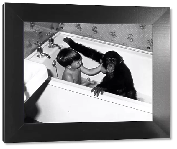 Children - Animals Chimps Young David Cawley and his pal Charles the Chimp in