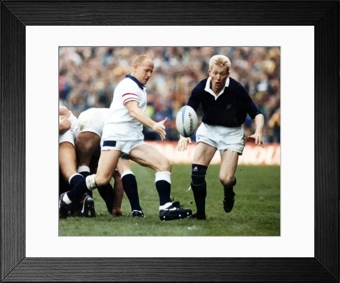Framed Print : Scotland Rugby player John Jeffrey watches as England scrum half clers the ball from a Framed Print : Scotland Rugby player John Jeffrey watches as England scrum half clers the ball from a