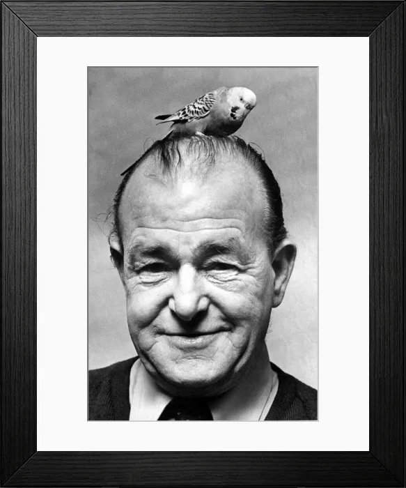 Framed Print : Joey the budgerigar on top of Mr Farriess head. 4th December 1975 Framed Print : Joey the budgerigar on top of Mr Farriess head. 4th December 1975