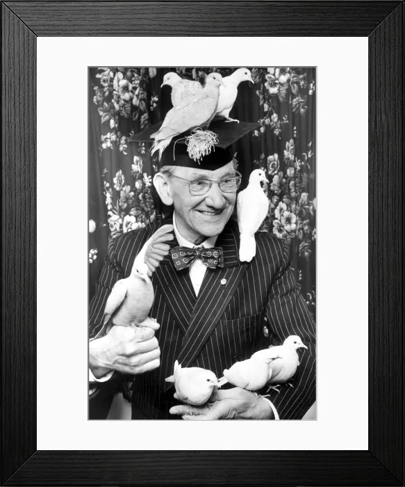 Framed Print : Illusionist Baron Houston with his doves. 3rd May 1977 Doves Birds Framed Print : Illusionist Baron Houston with his doves. 3rd May 1977 Doves Birds