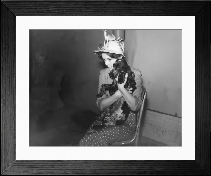 Framed Print : Dawn Addams seen here with her dog, Whistler at rehearsals for the Royal Film Framed Print : Dawn Addams seen here with her dog, Whistler at rehearsals for the Royal Film