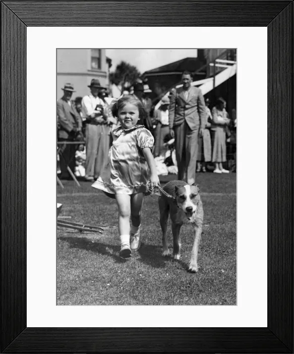 Framed Print : Daily Mirror V. C dog Mickey with young Mary Medlin at Paignton dog show