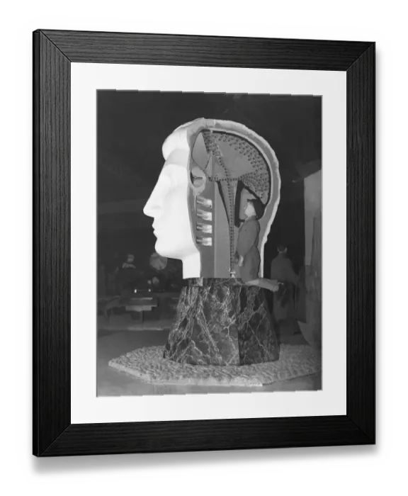 Framed Print : Opening of South Bank Exhibition - model of head showing brain Festival of Britain