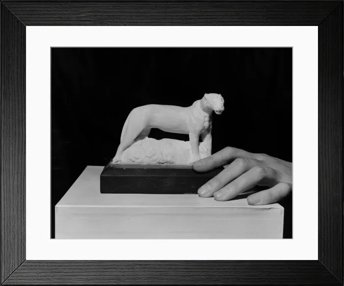 Framed Print : Photographer Heanly Alabaster leopard carved with army jack-knife by Harry Hussey Framed Print : Photographer Heanly Alabaster leopard carved with army jack-knife by Harry Hussey
