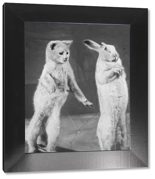 Cat and Rabbit jumping (original plate) XP00 XP20 C1152  /  30