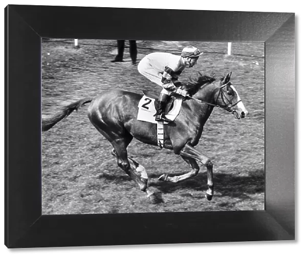 Be My Guest ridden by Lester Piggott in the 1977 Derby