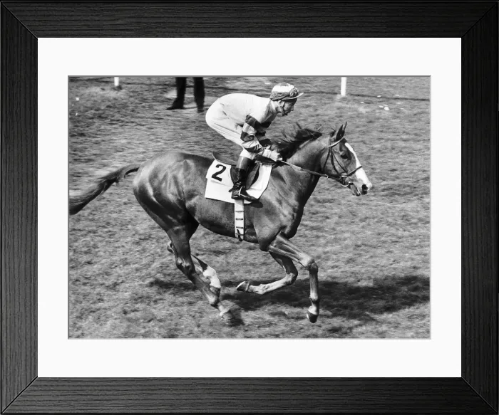 Framed Print : Be My Guest ridden by Lester Piggott in the 1977 Derby