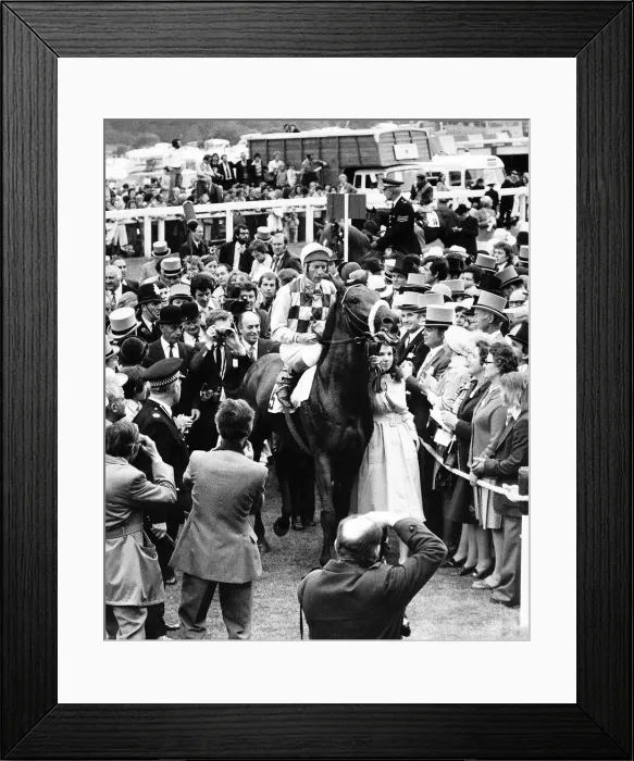 Framed Print : Empery Racehorse enters the winners enclosure with Jockey Lester Piggott on board Framed Print : Empery Racehorse enters the winners enclosure with Jockey Lester Piggott on board