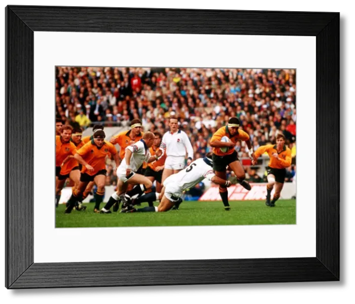 Framed Print : Rugby Union World Cup Final Australia against England Framed Print : Rugby Union World Cup Final Australia against England