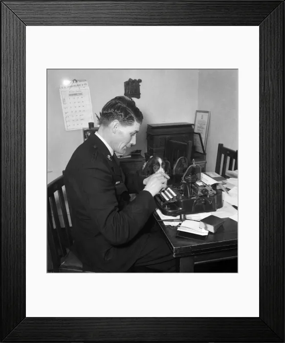 Framed Print : A worker for the RSPCA sitting at his desk typing his work with his pet dog beside him Framed Print : A worker for the RSPCA sitting at his desk typing his work with his pet dog beside him