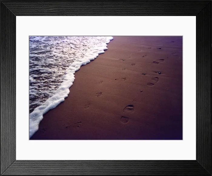 Framed Print : A picture of a dogs and its masters footprints on a beach Framed Print : A picture of a dogs and its masters footprints on a beach