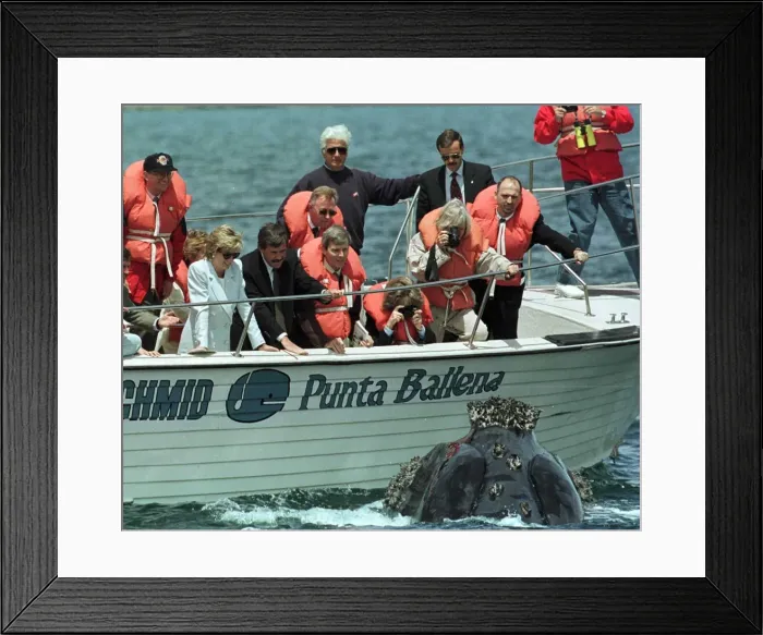 Framed Print : Diana, Princess of Wales on her four day visit to Argentina in her role as goodwill