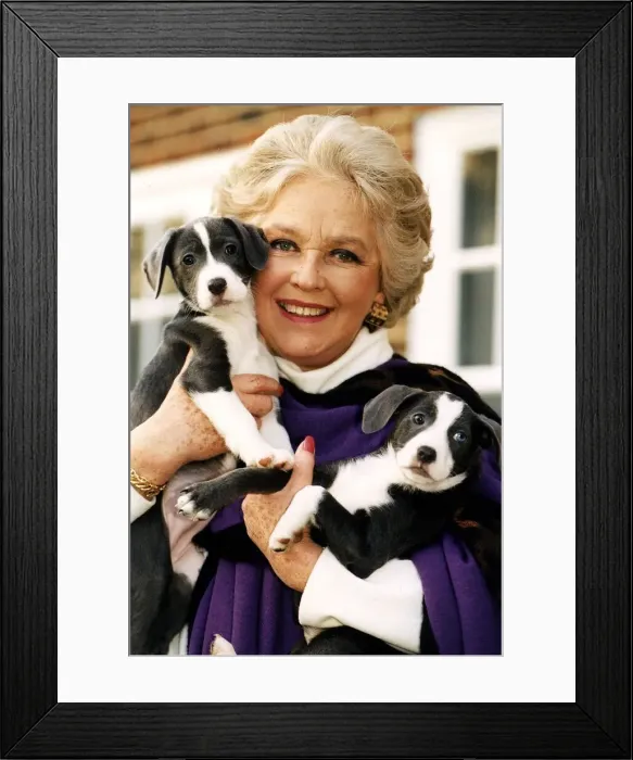Framed Print : Katie Boyle with Two new arrivals at the RSPCA centre at Sandridge Potters Bar Framed Print : Katie Boyle with Two new arrivals at the RSPCA centre at Sandridge Potters Bar
