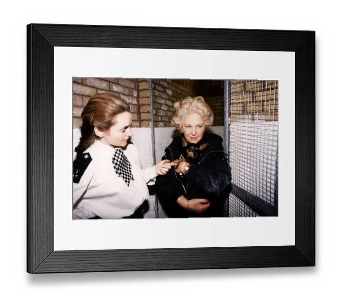 Framed Print : Katie Boyle television presenter carries a small dog into police pound for strays Framed Print : Katie Boyle television presenter carries a small dog into police pound for strays