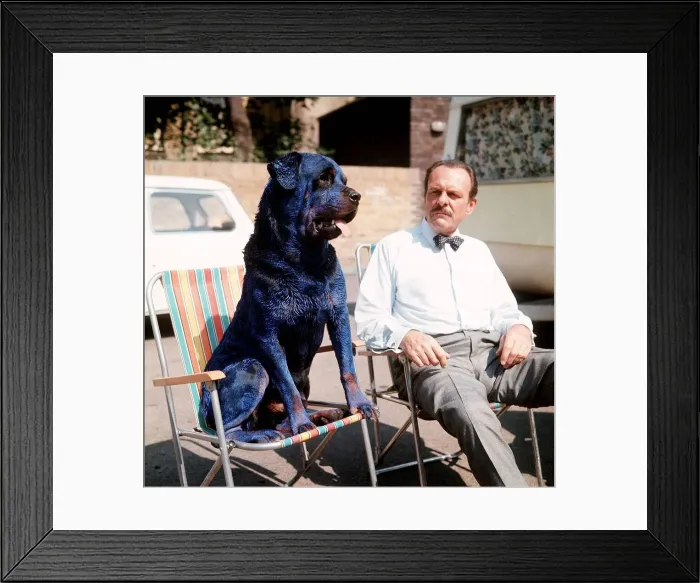 Framed Print : Terry Thomas with Rottweller Dog painted blue for the film Arthur Framed Print : Terry Thomas with Rottweller Dog painted blue for the film Arthur