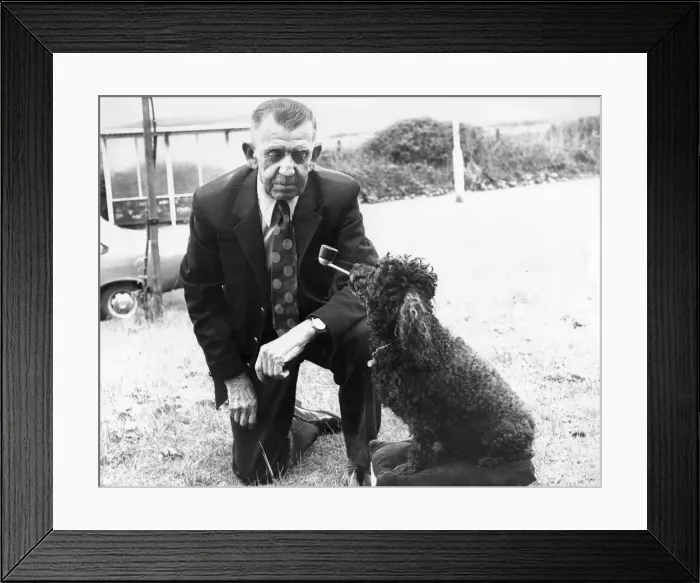 Framed Print : Pepe the poodle enjoys an occasional puff of his masters pipe Framed Print : Pepe the poodle enjoys an occasional puff of his masters pipe