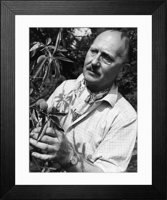 Framed Print : John Cradock husband of television chef Fanny Cradock, pictured in the garden of their Framed Print : John Cradock husband of television chef Fanny Cradock, pictured in the garden of their