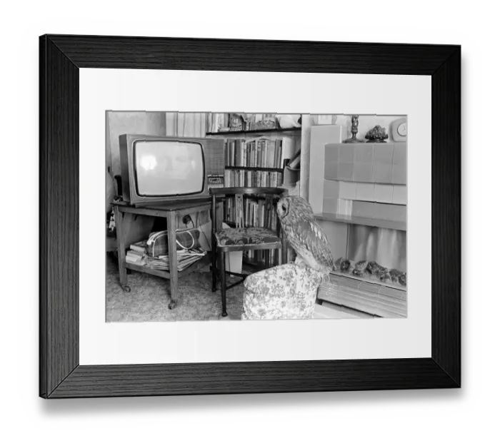 Framed Print : A wise old owl sat on an oak; The more he saw the less he spoke
