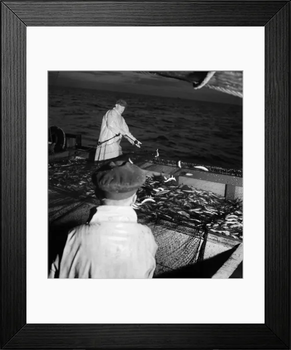 Framed Print : Herring Fishing fleet at Lerwick, Shetland Isles. June 1950 O24442-005 Framed Print : Herring Fishing fleet at Lerwick, Shetland Isles. June 1950 O24442-005