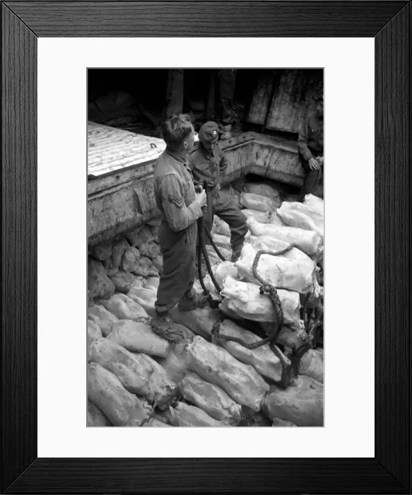 Framed Print : Dock Strike: Soldiers and sailors unload a cargo of meat at Royal Victoria Dock Framed Print : Dock Strike: Soldiers and sailors unload a cargo of meat at Royal Victoria Dock