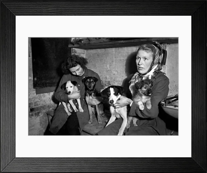 Framed Print : Dumb Friends League. Two women hold the puppies at a dogs home in North London