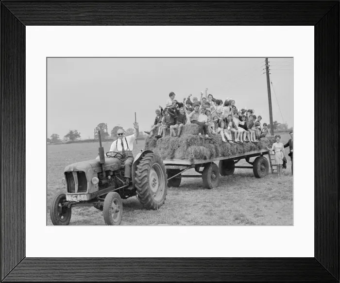 Framed Print : Schoolchildren paid an educational visit to Mr Harold Green Framed Print : Schoolchildren paid an educational visit to Mr Harold Green