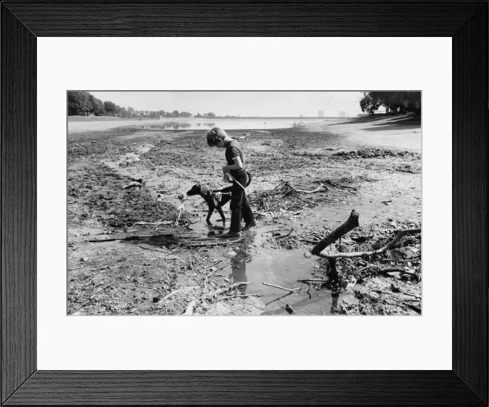 Framed Print : A boy and his dog at Edgbaston Reservoir