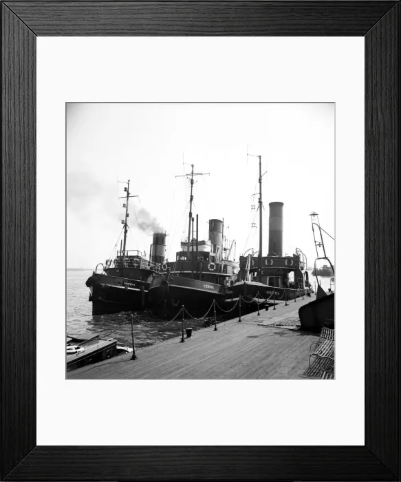 Framed Print : The Tug boats tied up alongside dock. June 1952 C3046-001 Framed Print : The Tug boats tied up alongside dock. June 1952 C3046-001