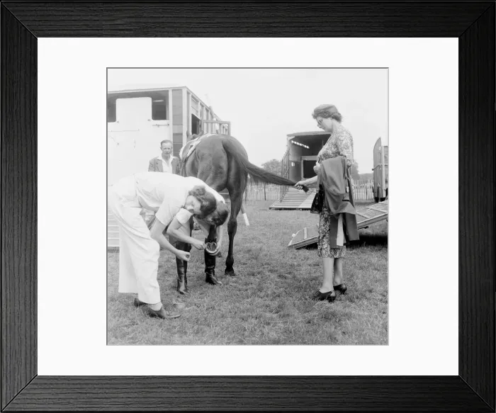 Framed Print : Scene from 1952. Richmond Horse show. A vet examines the hoofs of one of the competitors