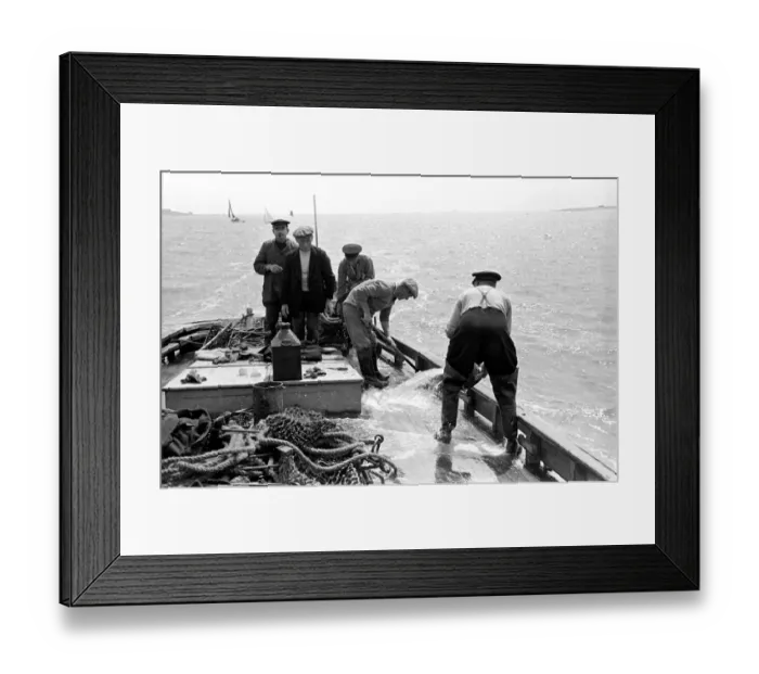 Framed Print : Oyster fishermen of Colchester at work in the River Blackwater and in the North Sea Framed Print : Oyster fishermen of Colchester at work in the River Blackwater and in the North Sea