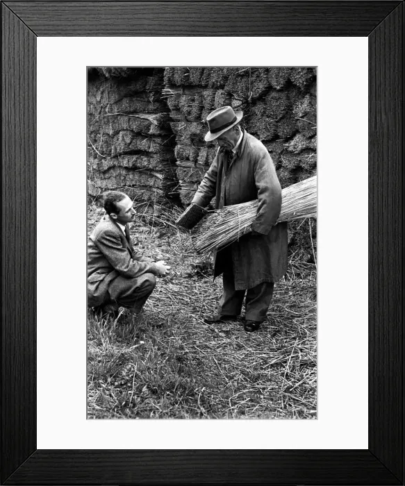 Framed Print : Reed Cutter on the Norfolk broads. June 1952 C3019 Framed Print : Reed Cutter on the Norfolk broads. June 1952 C3019