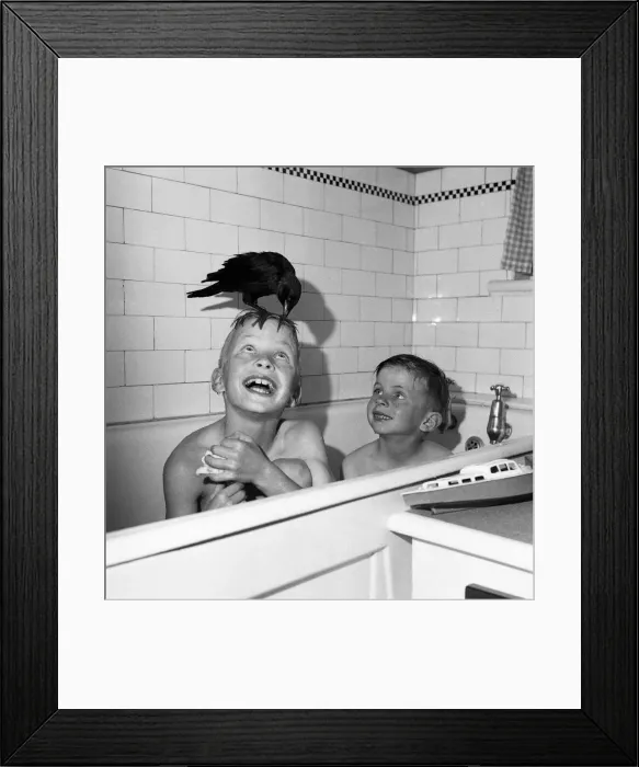 Framed Print : On me ead son Dennis and Phillip Troman with their pet Jackdaw seen here Framed Print : On me ead son Dennis and Phillip Troman with their pet Jackdaw seen here