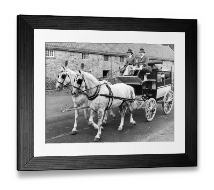 Framed Print : Helen Wrightham and Gavin Allan with a carriage and pair (Orbit and Starsky