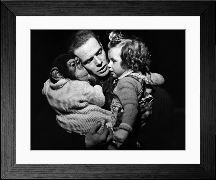 Framed Print : Mr Kerr & daughter Alexis with chimps. April 1952 C1740-003 Framed Print : Mr Kerr & daughter Alexis with chimps. April 1952 C1740-003