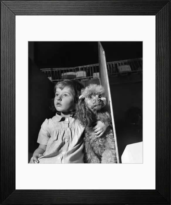Framed Print : Linda Graham with the Poodle dog. April 1952 C1574