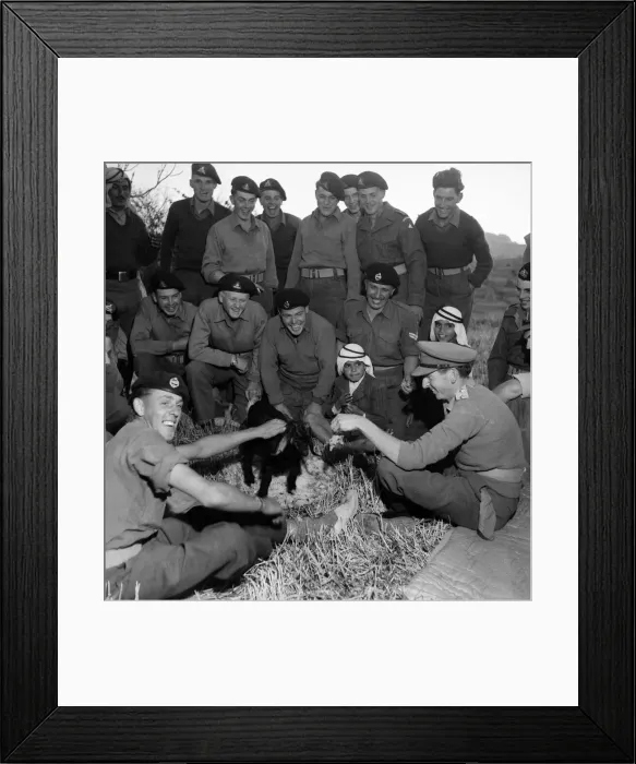 Framed Print : British soldiers and local Arab men enjoy a feast in Jordan. March 1952 C1287-001