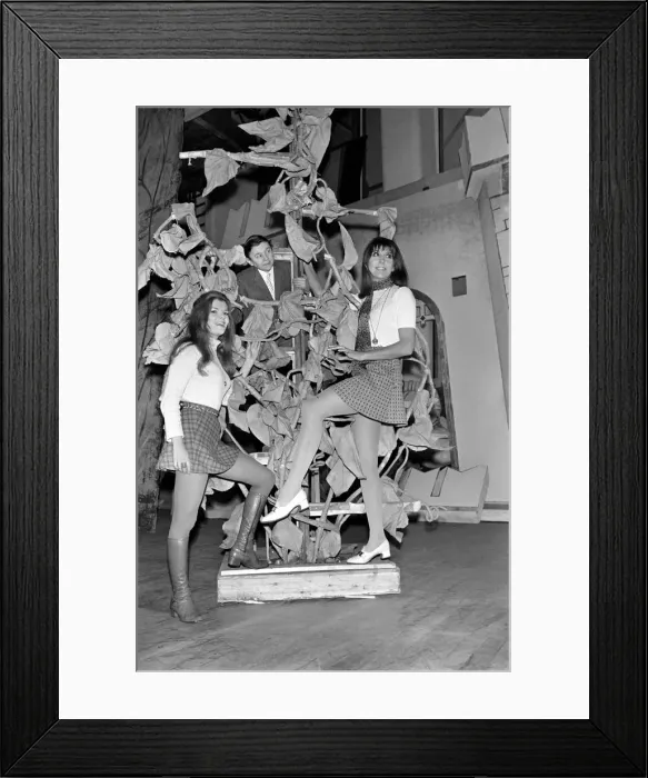 Framed Print : Entertainment. Theatre: Stars of Jack and the Beanstalk Framed Print : Entertainment. Theatre: Stars of Jack and the Beanstalk