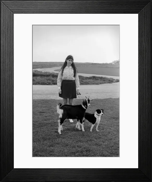 Framed Print : Lucy the goat who thinks shes a dog. She is seen with seen with her mistress Joan