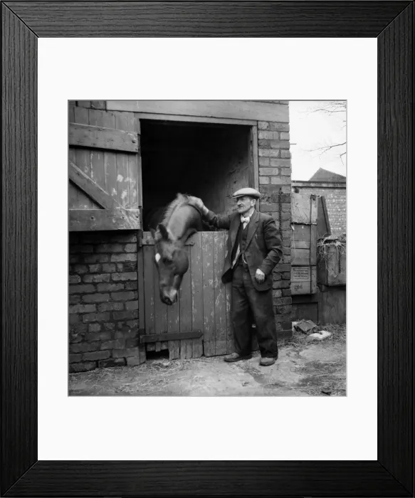 Framed Print : Eccentric millionaire Bob Hiddle patting his horse at his stable Framed Print : Eccentric millionaire Bob Hiddle patting his horse at his stable