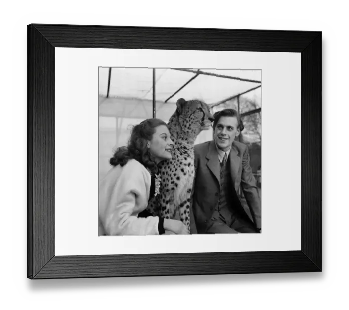 Framed Print : Artist couple Richard and Pat Larter with a leoprad during a visit to the Zoo Framed Print : Artist couple Richard and Pat Larter with a leoprad during a visit to the Zoo