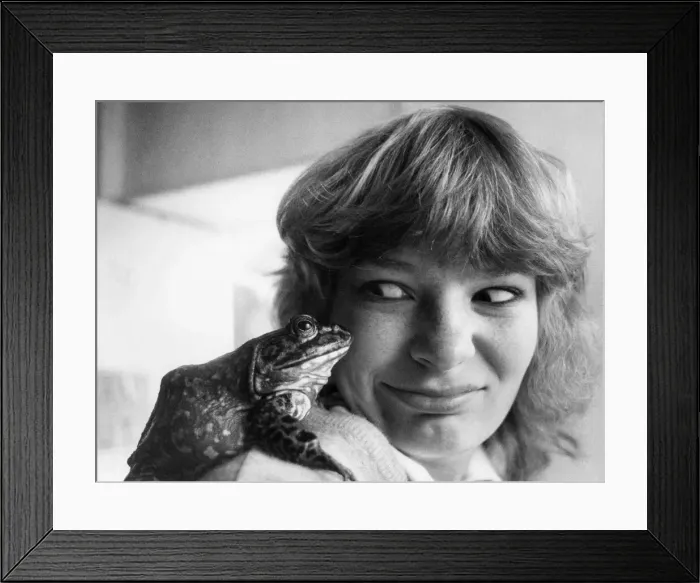 Framed Print : Animals humour. 17 yrs old Sandra Atherton, of Colwyn Bay Mountain Zoo with an American Framed Print : Animals humour. 17 yrs old Sandra Atherton, of Colwyn Bay Mountain Zoo with an American