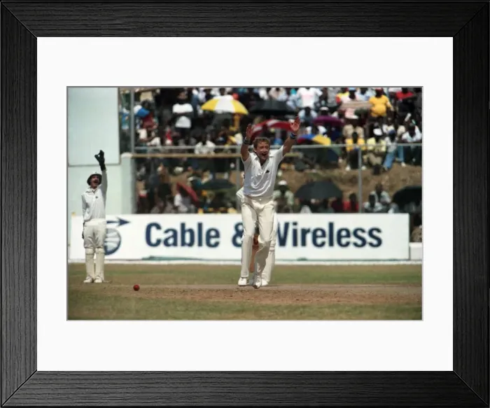Framed Print : Cricket 1st Test. West Indies v. England. February 1990 90-1173A-122 Framed Print : Cricket 1st Test. West Indies v. England. February 1990 90-1173A-122