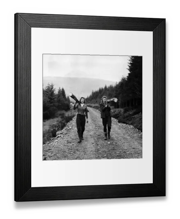 Framed Print : Girl forestry workers in Scotland. Two of the girls hauling logs through a forest track Framed Print : Girl forestry workers in Scotland. Two of the girls hauling logs through a forest track