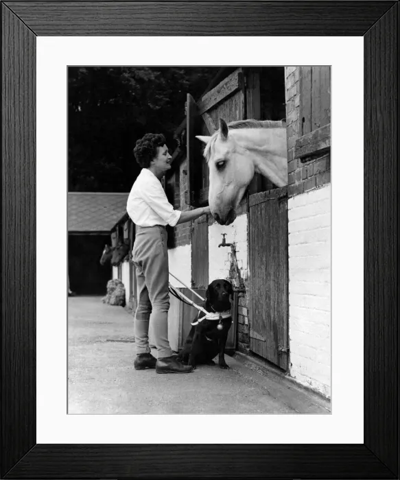 Framed Print : A blind woman visiting the Forest Lodge riding-school at Epping in Essel